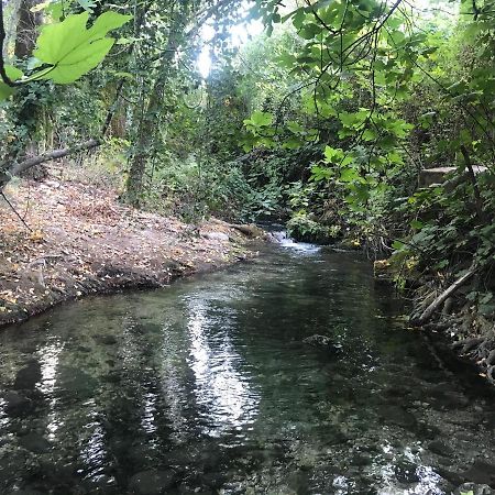 Bosque Alto Villa El Bosque Eksteriør bilde
